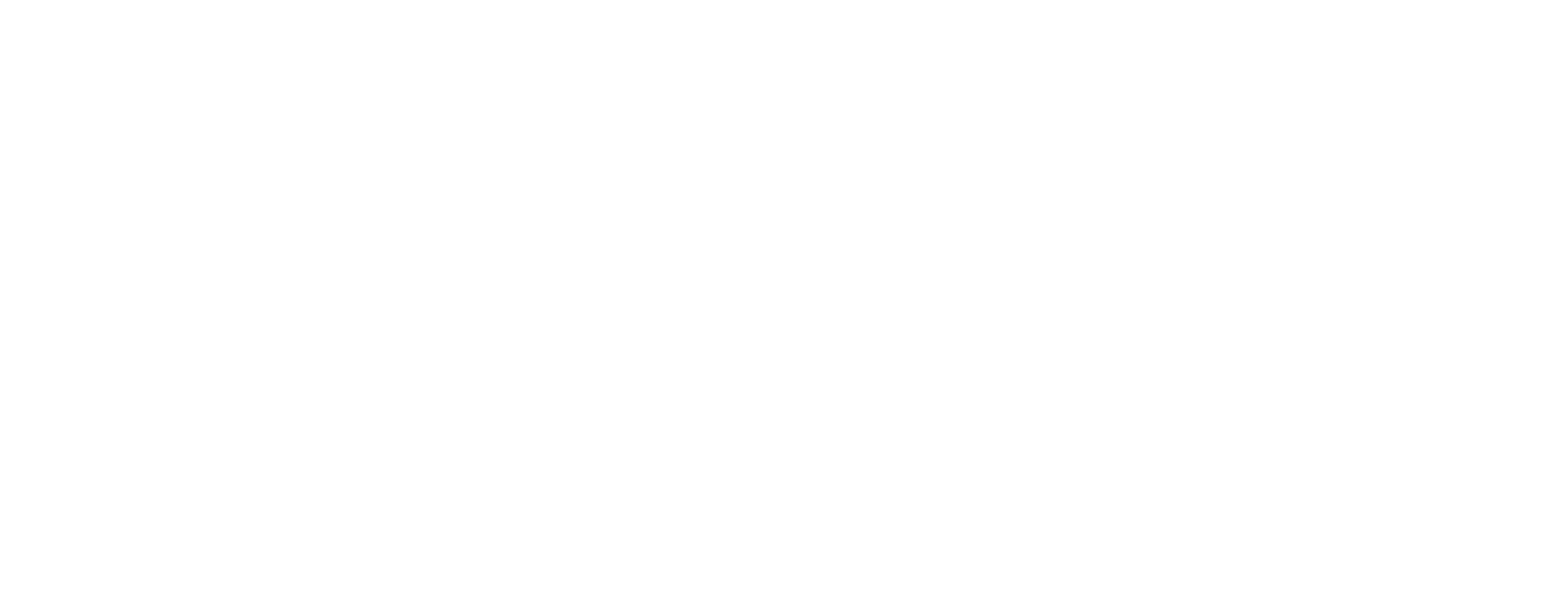  logo immolys